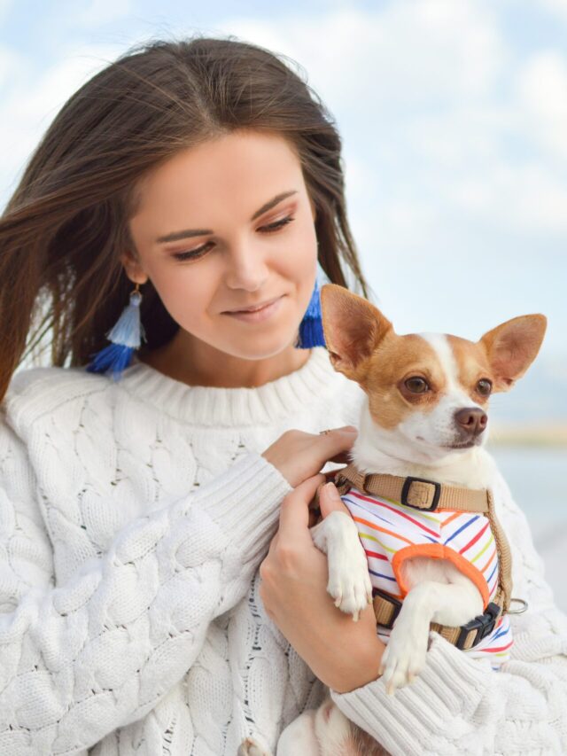 Which of These Three Zodiac Signs Are the Best Pet Parents?